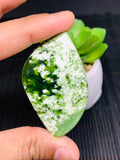 Chrome Chalcedony Cabochon • Code A10- A13 • AAA Quality • Natural Chrome Chalcedony Cabs • Chlacedony pendant