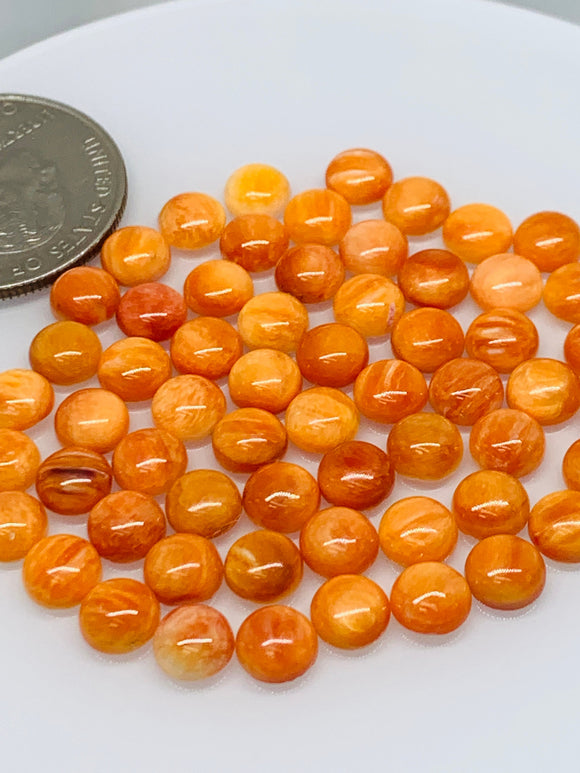 Spiny Oyster Shell Cabochon • 5 mm Size • Pack of 4 Piece • AAA Quality • Natural Shell Cabs • Spiny Orange Shell