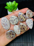 Astrolite Cabochon • Code A3- A10 • AAA Quality • Natural Astrolite Cabs • Astrolite Pendant • From Indonesia •  Perfect for Jewelry Making