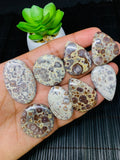 Astrolite Cabochon • Code A3- A10 • AAA Quality • Natural Astrolite Cabs • Astrolite Pendant • From Indonesia • Perfect for Jewelry Making