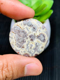 Astrolite Cabochon • Code A3- A10 • AAA Quality • Natural Astrolite Cabs • Astrolite Pendant • From Indonesia •  Perfect for Jewelry Making