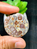 Astrolite Cabochon • Code A3- A10 • AAA Quality • Natural Astrolite Cabs • Astrolite Pendant • From Indonesia • Perfect for Jewelry Making