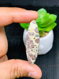 Astrolite Cabochon • Code A11- A17 • AAA Quality • Natural Astrolite Cabs • Astrolite Pendant • From Indonesia • Perfect for Jewelry Making