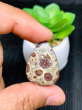 Astrolite Cabochon • Code A11- A17 • AAA Quality • Natural Astrolite Cabs • Astrolite Pendant • From Indonesia • Perfect for Jewelry Making