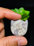 Astrolite Cabochon • Code A11- A17 • AAA Quality • Natural Astrolite Cabs • Astrolite Pendant • From Indonesia • Perfect for Jewelry Making