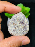 Astrolite Cabochon • Code A18- A21 • AAA Quality • Natural Astrolite Cabs • Astrolite Pendant • From Indonesia • Perfect for Jewelry Making