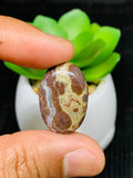 Astrolite Cabochon • Code A22- A25 • AAA Quality • Natural Astrolite Cabs • Astrolite Pendant • From Indonesia • Perfect for Jewelry Making