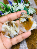 Dendritic Moss Agate Cabochon • Code D1- D2 • AAA Quality •  Natural Dendritic Moss Agate Cabs •  Moss Agate  Pendant