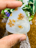 Dendritic Moss Agate Cabochon • Code D3-D4 • AAA Quality •  Natural Dendritic Moss Agate Cabs •  Moss Agate  Pendant