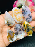 Dendritic Moss Agate Cabochon • Code D39- D44 • AAAA Quality • Natural Dendritic Moss Agate Cabs • Moss Agate Pendant