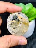 Dendritic Tiger Agate Cabochon • Code A5- A8 • AAA Quality • Natural Tiger Dendritic Agate Cabs • TIger Dendritic Agate Pendant