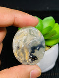 Dendritic Tiger Agate Cabochon • Code A5- A8 • AAA Quality • Natural Tiger Dendritic Agate Cabs • TIger Dendritic Agate Pendant