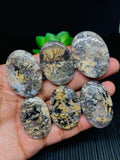 Dendritic Tiger Agate Cabochon • Code A27- A32 • AAA Quality • Natural Tiger Dendritic Agate Cabs • TIger Dendritic Agate Pendant