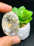 Dendritic Tiger Agate Cabochon • Code A27- A32 • AAA Quality • Natural Tiger Dendritic Agate Cabs • TIger Dendritic Agate Pendant