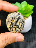 Dendritic Tiger Agate Cabochon • Code A33- A38 • AAA Quality • Natural Dendritic Agate Cabs • Dendritic Agate Pendant