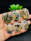 Dendritic Tiger Agate Cabochon • Code A33- A38 • AAA Quality • Natural Dendritic Agate Cabs • Dendritic Agate Pendant