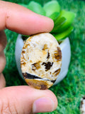 Peanut Wood Jasper Cabochon • Code P7-P12 • AAA Quality • Natural Peanut Wood Jasper Cabs • Jasper Pendant • Perfect for Jewelry Making