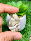 Peanut Wood Jasper Cabochon • Code P7-P12 • AAA Quality • Natural Peanut Wood Jasper Cabs • Jasper Pendant • Perfect for Jewelry Making