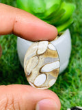 Peanut Wood Jasper Cabochon • Code P19-P24 • AAA Quality • Natural Peanut Wood Jasper Cabs • Jasper Pendant • Perfect for Jewelry Making