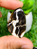 Peanut Wood Jasper Cabochon • Code P19-P24 • AAA Quality • Natural Peanut Wood Jasper Cabs • Jasper Pendant • Perfect for Jewelry Making