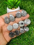 Black Fossil Coral Cabochon Pairs • Code B13-B18 • AAA Quality  • Natural Fossil coral Cabs