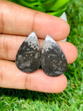 Black Fossil Coral Cabochon Pairs • Code B49-B52 • AAA Quality • Natural Fossil coral Cabs