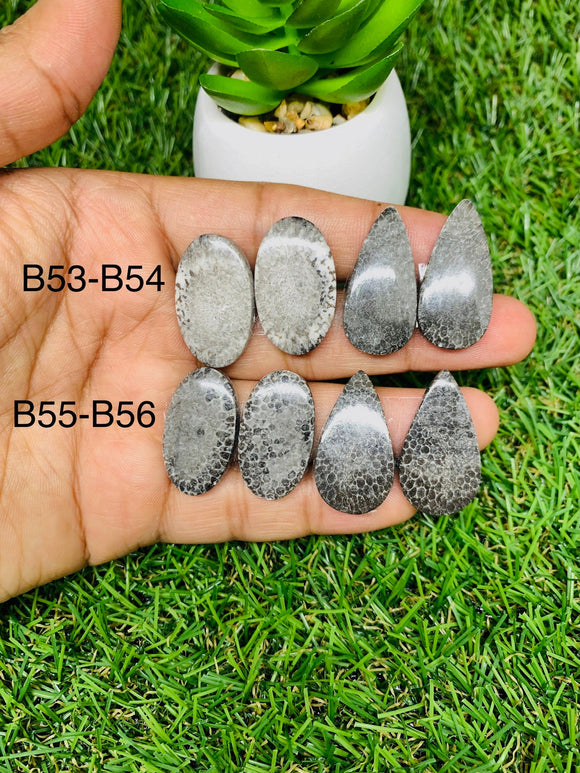 Black Fossil Coral Cabochon Pairs • Code B53-B56 • AAA Quality  • Natural Fossil coral Cabs