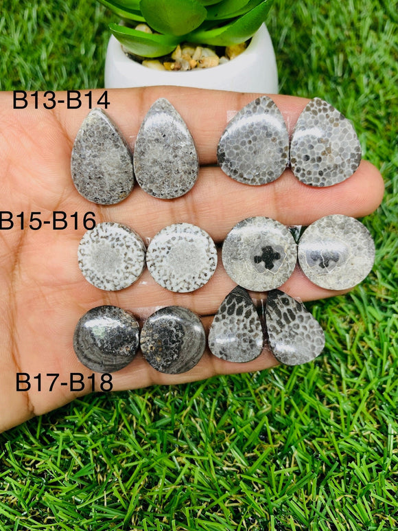 Black Fossil Coral Cabochon Pairs • Code B13-B18 • AAA Quality  • Natural Fossil coral Cabs