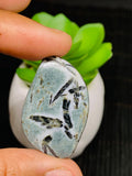 Hold Bland Dragon Cabochon • Code A13- A17 • AAA Quality •  Natural Dragon Cabs • Hold Bland Pendant •  Origin Poland