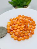 Spiny Oyster Shell Cabochon • 6 mm Size • Pack of 4 Piece • AAA Quality • Natural Shell Cabs • Spiny Orange Shell