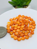 Spiny Oyster Shell Cabochon • 5 mm Size • Pack of 4 Piece • AAA Quality • Natural Shell Cabs • Spiny Orange Shell