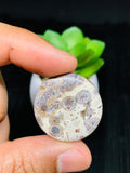 Astrolite Cabochon • Code A11- A17 • AAA Quality • Natural Astrolite Cabs • Astrolite Pendant • From Indonesia • Perfect for Jewelry Making