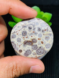 Astrolite Cabochon • Code A18- A21 • AAA Quality • Natural Astrolite Cabs • Astrolite Pendant • From Indonesia • Perfect for Jewelry Making