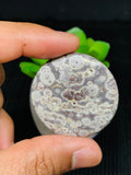 Astrolite Cabochon • Code A18- A21 • AAA Quality • Natural Astrolite Cabs • Astrolite Pendant • From Indonesia • Perfect for Jewelry Making