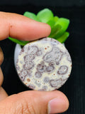 Astrolite Cabochon • Code A18- A21 • AAA Quality • Natural Astrolite Cabs • Astrolite Pendant • From Indonesia • Perfect for Jewelry Making