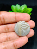 Polish Flite Cabochon • Code P13- P18 • AAA Quality • Natural Polish Flite Cabs • Polish Flite Pendant