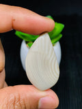 Polish Flite Cabochon • Code P13- P18 • AAA Quality • Natural Polish Flite Cabs • Polish Flite Pendant