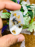 Dendritic Moss Agate Cabochon • Code D15- D18 • AAA Quality •  Natural Dendritic Moss Agate Cabs •  Moss Agate  Pendant