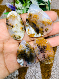 Dendritic Moss Agate Cabochon • Code D19- D22 • AAA Quality • Natural Dendritic Moss Agate Cabs • Moss Agate Pendant