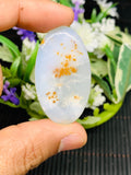 Dendritic Moss Agate Cabochon • Code D23- D26 • AAA Quality •  Natural Dendritic Moss Agate Cabs •  Moss Agate  Pendant