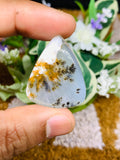 Dendritic Moss Agate Cabochon • Code D45- D50 • AAA Quality • Natural Dendritic Moss Agate Cabs • Moss Agate Pendant