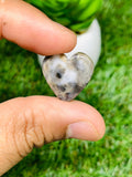 Kawanite Cabochon • Code K37-K40 • AAA Quality • Natural Kawanite Cabs • Kawanite Pendant