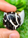 Peanut Wood Jasper Cabochon • Code P13-P18 • AAA Quality • Natural Peanut Wood Jasper Cabs • Jasper Pendant • Perfect for Jewelry Making