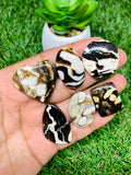 Peanut Wood Jasper Cabochon • Code P19-P24 • AAA Quality • Natural Peanut Wood Jasper Cabs • Jasper Pendant • Perfect for Jewelry Making