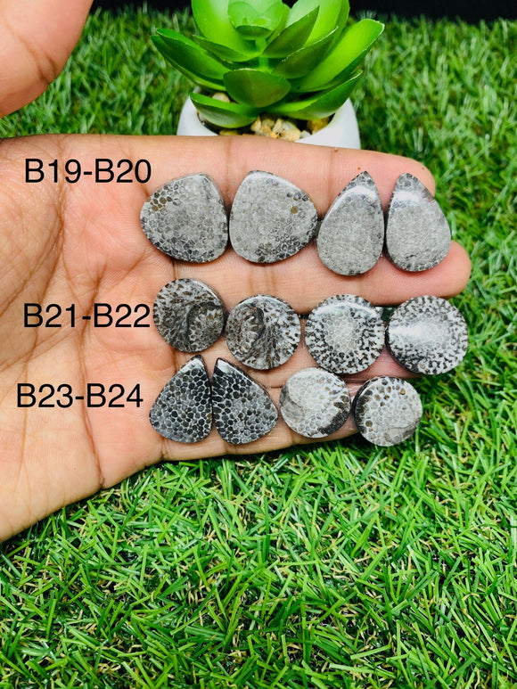 Black Fossil Coral Cabochon Pairs • Code B19-B24 • AAA Quality • AAA Quality  • Natural Fossil coral Cabs