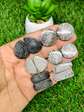 Black Fossil Coral Cabochon Pairs • Code B25-B30  • AAA Quality  • Natural Fossil coral Cabs