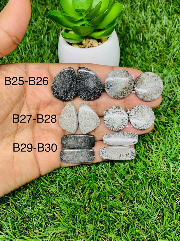 Black Fossil Coral Cabochon Pairs • Code B25-B30  • AAA Quality  • Natural Fossil coral Cabs