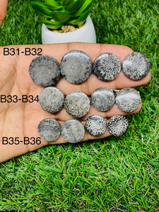 Black Fossil Coral Cabochon Pairs • Code B31-B36 • AAA Quality  • Natural Fossil coral Cabs