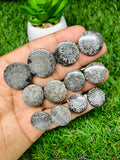 Black Fossil Coral Cabochon Pairs • Code B31-B36 • AAA Quality  • Natural Fossil coral Cabs