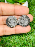 Black Fossil Coral Cabochon Pairs • Code B31-B36 • AAA Quality  • Natural Fossil coral Cabs